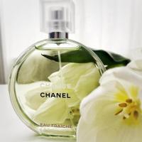 ราคา Chanel Chance Eau Fraiche EDT 100ML น้ำหอมผู้หญิง น้ำหอมกลิ่นดอกไม้ (42569894892)
