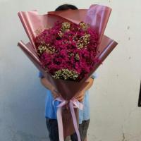 ราคา ช่อดอกไม้แห้งดอดสแตติส สุ่ย (2854957327)