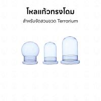 ราคา โหลแก้ว Terrarium ทรงโดม โหลจัดสวนขวด โหลเทอราเรียม โหลปลูกต้นไม้ โหลอบต้นไม้ โหลแก้วสไตล์นอร์ดิก ทรง Dooa glass pot (24339776546)