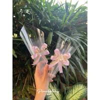 ราคา กรวยใส กรวยโปรยดอกไม้ #Prangglory (23030367564)