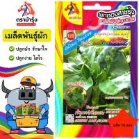 ราคา ขายปลีก เมล็ดพันธุ์ ผัก *แพ็ค10ซอง*ตราม้ารุ้ง Z122 คะน้าใบเห็ดหอม เมล็ดพันธุ์ เมล็ดผัก ผักซอง ม้ารุ้ง ผักสวนครัว (29742732747)