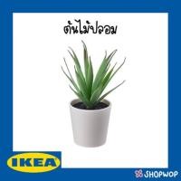 ราคา พร้อมส่ง⚡️ต้นไม้ประดิษฐ์ ต้นไม้ปลอม พร้อมกระถาง - IKEA อิเกีย เฟคก้า (7635779093)