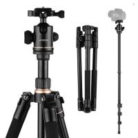 ราคา Andoer 164 ซม./64.57in ขาตั้งกล้องถ่ายภาพ Monopod ขาตั้งอลูมิเนียมอัลลอยด์ 360° หัวบอลหมุนได้ความจุโหลด 8 กก. พร้อมกระเป๋าพกพาสําหรับกล้อง DSLR กล้องวิดีโอ (24380323435)