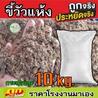 ราคา ปุ๋ย ขี้วัวนม ขี้วัวแห้ง 1 กระสอบ 9-10 กิโล ขี้วัว มูลวัว ปุ๋ยขี้วัว ตากแห้ง ไม่มีโซดาไฟ ปุ๋ยคอก ปุ๋ยอินทรีย์บำรุงดินพืช (10650178209)