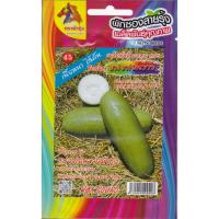 ราคา RAINBOWHORSE ผักซอง ม้ารุ้ง Z045 แฟงท่อนขาว เมล็ดพันธุ์ เมล็ดพันธุ์ผัก เมล็ดผัก ผักสวนครัว ตราม้ารุ้ง (41523011326)
