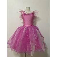 ราคา ชุดแฟนซี ชุดคอสเพลย์เด็ก มือสอง ชุดนางฟ้า 30 (29604151131)