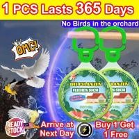 ราคา ลูกยอนกมาใกล้ ไล่นก Halau burung Pigeon ขับไล่นกกลางแจ้ง Pengahau burung merpati (26630912741)