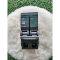 ราคา CHANG เมนเซอร์กิตเบรกเกอร์ ธรรมดา 2P 50A (18195718128)