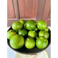 ราคา มะนาว มะนาวแป้นพิจิตร กลิ่นหอม น้ำเยอะ เปลือกบาง ปลอดสารปลูกเอง เก็บสดวันต่อวัน (1กิโลรวมกล่อง คละไซต์) ราคา25บาท (41755459494)