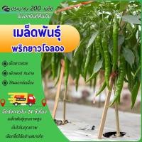 ราคา 200เมล็ด เมล็ดพันธุ์พริกยาวโจลอง พริกยาวโจลอง พันธุ์พริกยาว ลูกดก เผ็ดหอม ปลูกง่าย ให้ผลิตสูง (41371833604)