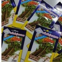 ราคา เมล็ดพันธุ์ผักบุ้งนาแดง แบบซอง เลือกจำนวนจากตัวเลือก : ร้าน dddOrchids (7641495561)