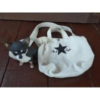 ราคา กระเป๋าสะพายข้างผ้าใบ Converse All Star Chuck Taylor ของแท้ (24444754000)