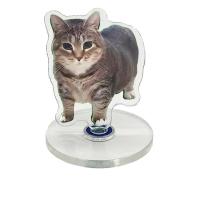 ราคา CLII หมุนแมวของเล่นหมุนอัตโนมัติ Engages แมวมอเตอร์เงียบชาร์จ USB เหมาะสําหรับห้องนั่งเล่นหรือห้องนอนใช้ (41766217277)