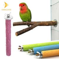 ราคา coralcoveshop คอนลับเล็บ คอนนกแก้ว คอนไม้ คอนนก ที่ยืนนก ลับปากธรรมชาติ คอนนกแบบติดกรง (28100177152)