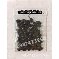 ราคา เมล็ดพันธุ์ต้นส้มป่อย ส้มป่อย เมล็ดพันธุ์ส้มป่อย (4946152829)