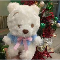 ราคา ตุ๊กตา หมีพูห์ สีขาว ใหม่ ป้ายห้อย (4375628438)