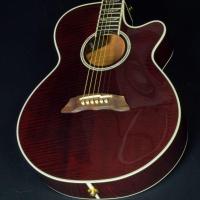 ราคา Takamine DMP181AC WR มือสองสภาพB+ (17790194601)