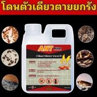 ราคา น้ำยากำจัด ปลวก มด แมลงสาบ 1 ลิตร (40255832667)