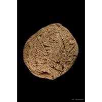 ราคา ลูกอมด้ายสาวพรหมจรรย์ หลวงปู่ยิ้ม วัดหนองบัว ติดรางวัลที่1งานสมาคมผู้นิยมพระเครื่องพระบูชาไทย (25561736277)