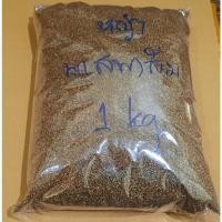 ราคา ขายส่ง 1 กิโลกรัม เมล็ดหญ้าพาสพาลัม Paspalum Grass หญ้าพัลธลั่ม หญ้าปูสนาม สนามหญ้า พืชตระกูลหญ้า เมล็ดพันธุ์หญ้า ปูสนาม (3201984933)