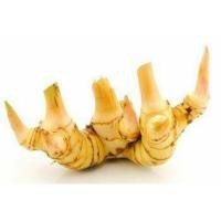 ราคา ข่าแก่ กิโลกรัมละ50บาท (4695878333)