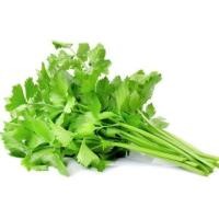 ราคา 0048เมล็ดพันธ์ขึ้นฉ่ายต้นขาว1,000Seeds (1643295685)