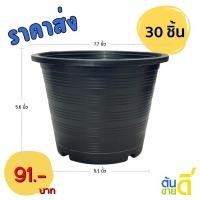 ราคา กระถาง กระถางทรงเตี้ย กระถางแขวน เบอร์ 8 7.4 นิ้ว (28562083523)