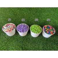 ราคา หินเกล็ดสี หินประดับ หินโรยหน้าแคดตัส หินตกแต่งสวน (5619228426)