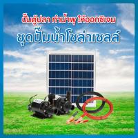 ราคา ชุดปั๊มน้ำโซล่าเซลล์ ปั๊มน้ำโซล่าเซลล์ ปั๊มน้ำ12โวลต์ ปั๊มน้ำ12V (11518448869)
