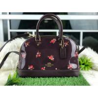 ราคา Coach แท้ ✔️ กระเป๋าถือ โดมมินิ หนังแก้ว | Coach Mini Sierra Satchel with Baby Bouquet Print (2448957387)