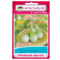 ราคา เมล็ดมะเขือเปราะ น้ำหยดราชบุรี (29552945127)