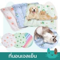 ราคา ที่นอนเจลเย็นสัตว์เลี้ยง ลายน่ารัก สำหรับสุนัขและแมว เย็นสบาย เบาะรองนั่ง ที่นอนเย็น (44311427000)