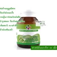 ราคา SERES Ginkgo Biloba Extract (สารสกัดใบแปะก๊วย) ของแท้ 100% กระปุก 30 เม็ด (4459587628)