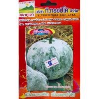 ราคา ฟัก แฟง เมล็ดพันธุ์ฟักแฟงหมดอายุ05/2567ฟักหอม ฟักกลม ฟักมงคลบรรจุประมาณ 40เมล็ด ทรงกลม ทำแกง หอมมาก (10272984528)