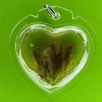 ราคา หัวใจมหาเสน่ห์แรงๆ ดอกเถาวัลย์หลง เถาวัลย์หลง เถาหลง ดอกเถาหลง ของแท้ จี้ดอกเถาหลง จี้หัวใจ (8748822174)