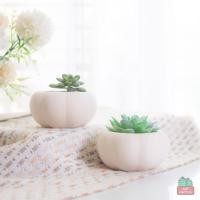 ราคา กระถางเซรามิก ดินเผา ทรงฟักทอง 3.5 นิ้วปาก 2.3 นิ้วสีธรรมชาติ เซรามิค กระถางแคคตัส กระถางกระบองเพชร สไตล์โมเดิร์นมินิมอล (9479313596)