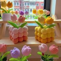 ราคา Diy ขนสัตว์โครเชต์วัสดุทิวลิปถักเครื่องประดับขนาดเล็กช่อดอกไม้ Handmade กระถางต้นไม้ของขวัญโฮมเมด RB5Q (41511823783)