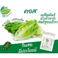 ราคา คอส 200 เมล็ด จากสหรัฐ​อเมริกา (Cos)​ #ผักสลัด (18530402648)