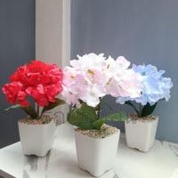 ราคา ต้นไฮเดรนเยีย (ต้นไม้ปลอม) แต่งบ้าน แต่งห้อง ดอกไฮเดรนเยีย มินิมอล (44105205356)