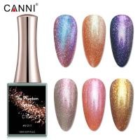 ราคา สีแยกขวด: สีชิมเมอร์ ขนาด16ml. แบรนด์Canni (23774075541)