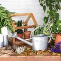 ราคา Mini Watering Can บัวรดน้ำ ทรงกลม ตกแต่งสวน บัวรดน้ำสังกะสี วินเทจ ขนาดเล็ก (9113597840)