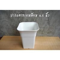 ราคา กระถางปากแตรทรงเหลี่ยมสูง กระถางทรงสูง กระถางบอนไซ กระถางโมเดิร์น สีขาว 4.5 นิ้ว กระถางแคคตัส พลาสติกหนา ผิวมัน (3839100279)