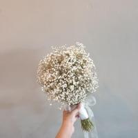ราคา ช่อเจ้าสาวทรงกลม ดอกยิปซีอบแห้ง (ช่อใหญ่ดอกแน่นค่า) Green garden flower (13933588052)