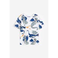 ราคา H&M(เอชแอนด์เอ็ม) เสื้อยืดพิมพ์ลาย เด็กผู้ชาย 1023835_6 (24691587073)