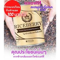 ราคา จมูกข้าวไรซ์เบอร์รี่ จมูกข้าวกล้องงอกไรซ์เบอร์รี่ VVIP Riceberry Germ, 500 g จำนวน 3 กระป๋อง/ pack (4545309809)