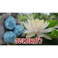 ราคา ปุ๋ยระเบิด บัวงาม น้ำใส (27733379325)