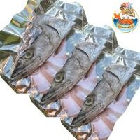 ราคา กระชังทอง หัวปลาอินทรีย์เค็ม 3หัว 1แพ็ค หัวปลา ปลาเค็ม หัวปลาอินทรีย์ ปลาอินทรีย์ ปลาอินทรี อินทรี (26478404721)