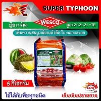 ราคา บรรจุ 5 กิโลกรัม WESCO ปุ๋ย 21-21-21 +TE(ธาตุรองเสริม) ปุ๋ยเกล็ด เวสโก้ เพิ่มความสมบูรณ์ของลำต้น ใบ ดอกและผล (16918238176)
