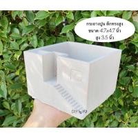 ราคา กระถางปูน กระถางแคคตัส กระถางปูนเปลือย (5775496257)