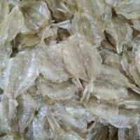 ราคา ขายดี!! พร้อมส่ง!! ปลาแป้นแก้ว ปลาแป้นแก้วหวาน ปลาแป้นแก้ว แห้ง (1 กิโลกรัม) อาหารทะเลแห้ง (28700183804)